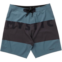 Mens Profile 19" Boardshorts